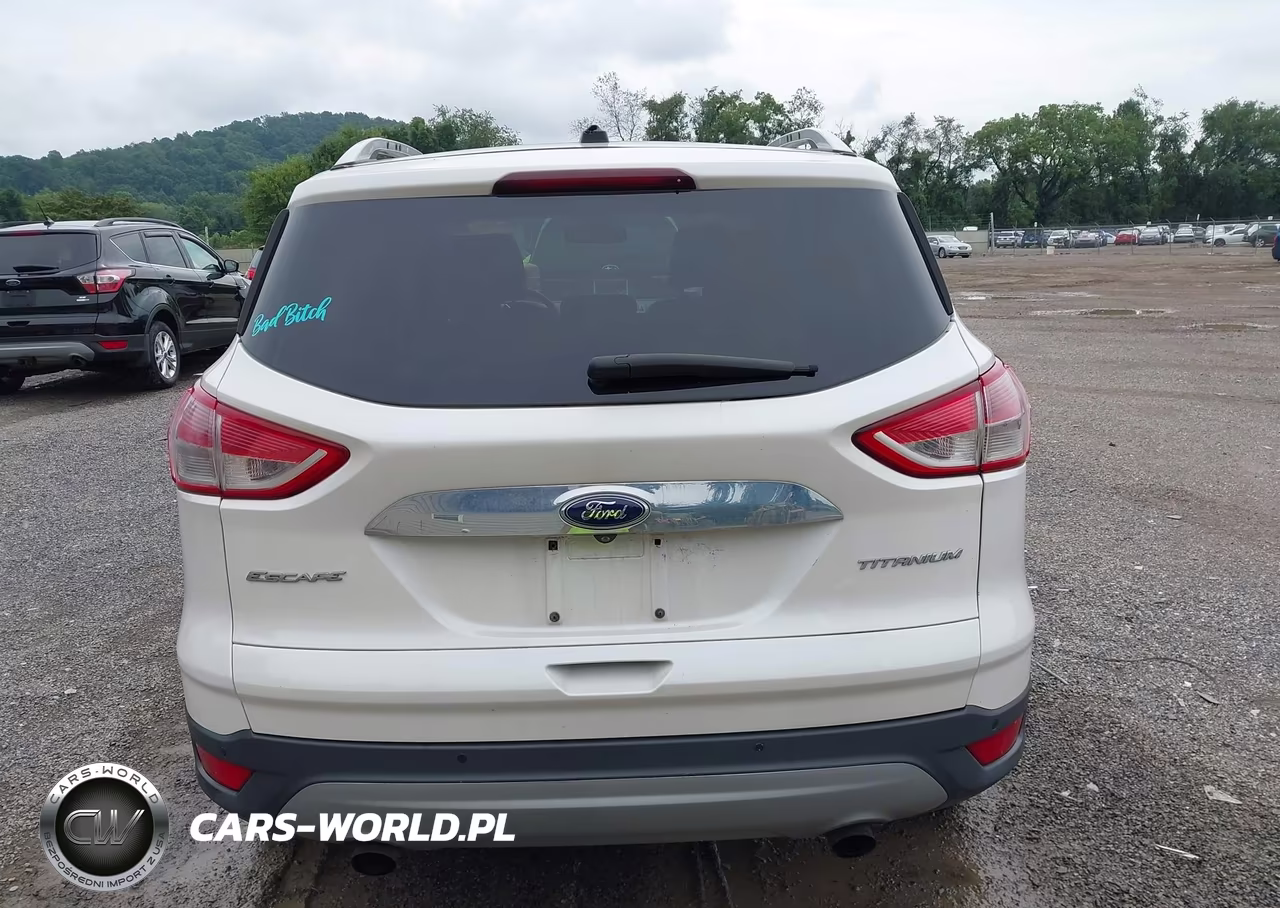 2014 Ford Escape Titanium VIN:1FMCU9J99EUE45495 - 17