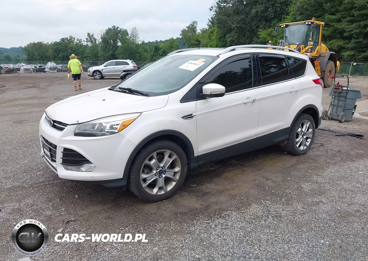 2014 Ford Escape Titanium VIN:1FMCU9J99EUE45495 - 2