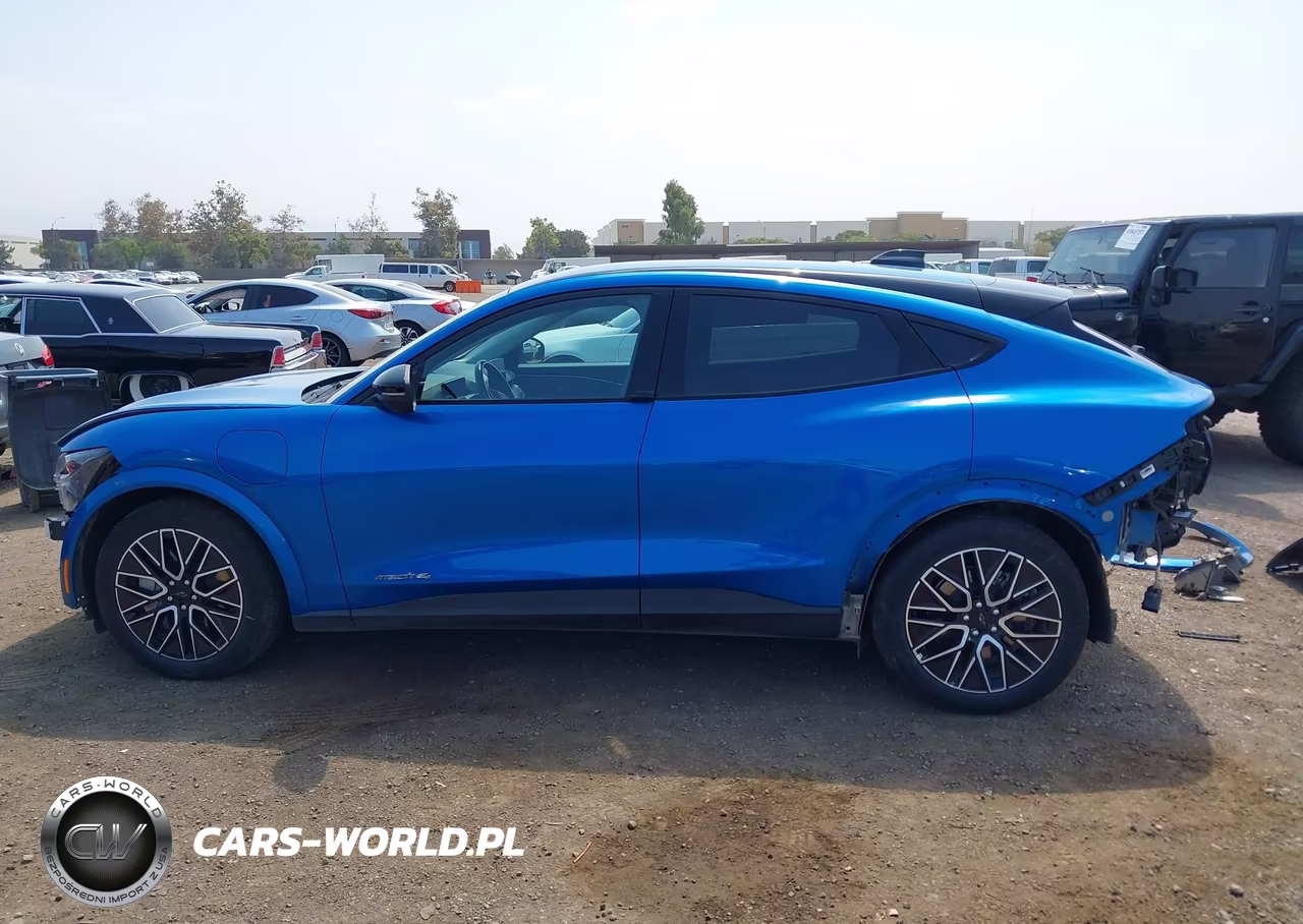 2025 Ford Mustang Mach-E Premium VIN:3FMTK3SU7SMA34182 - 15