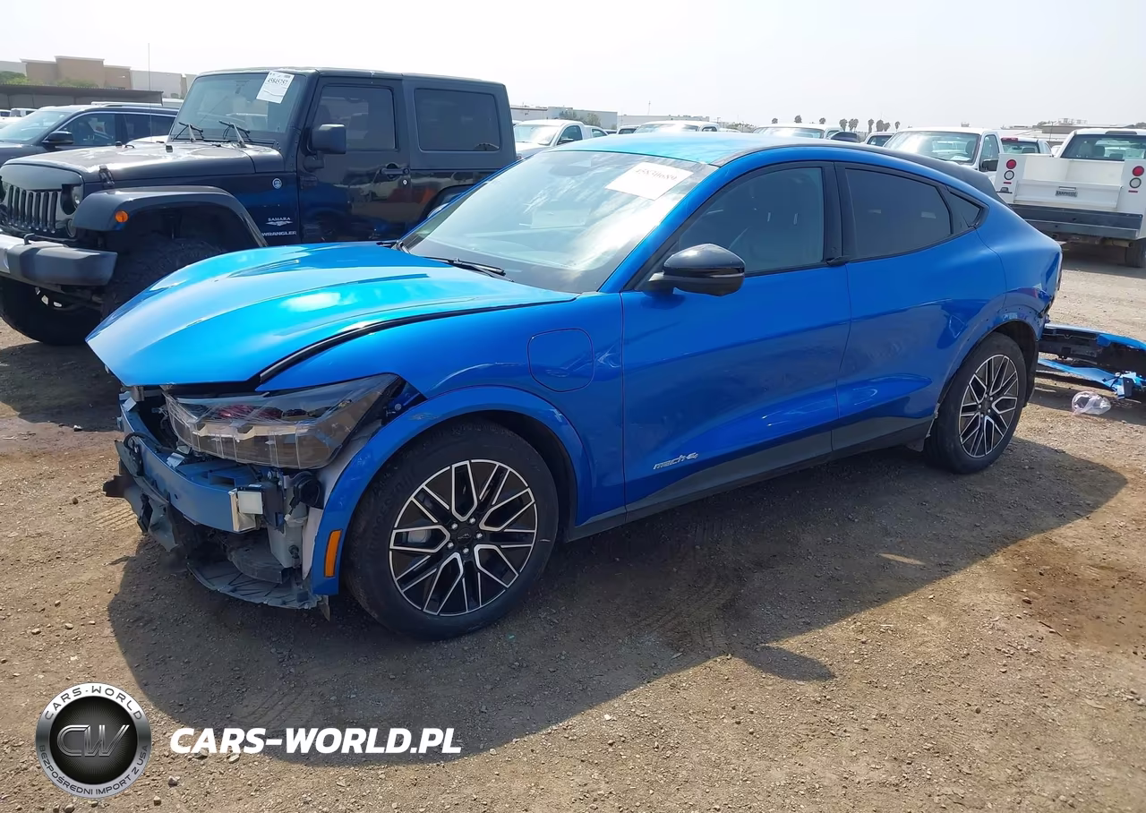 2025 Ford Mustang Mach-E Premium VIN:3FMTK3SU7SMA34182 - 2