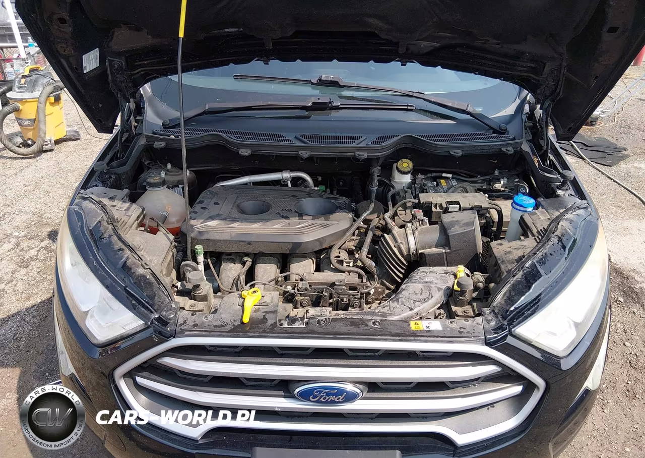 2020 Ford Ecosport Se VIN:MAJ6S3GL8LC349941 - 10
