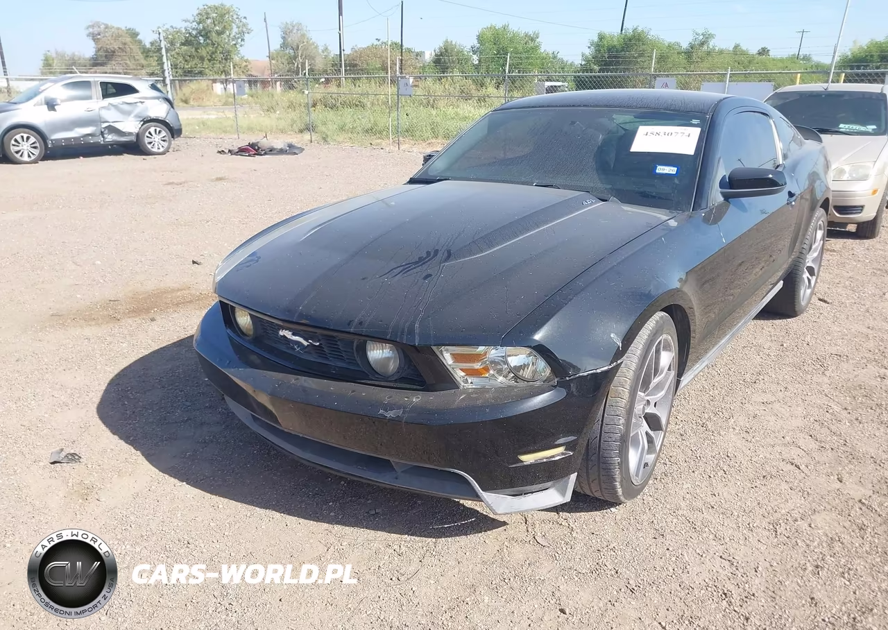 2010 Ford Mustang V6-V6 Premium VIN:1ZVBP8AN9A5159050 - 2