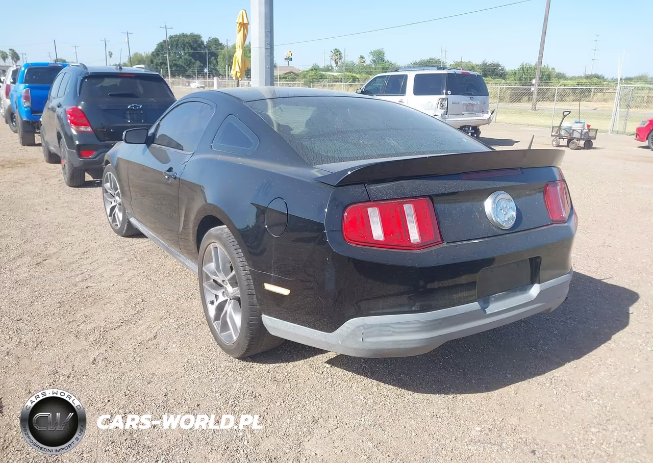 2010 Ford Mustang V6-V6 Premium VIN:1ZVBP8AN9A5159050 - 3