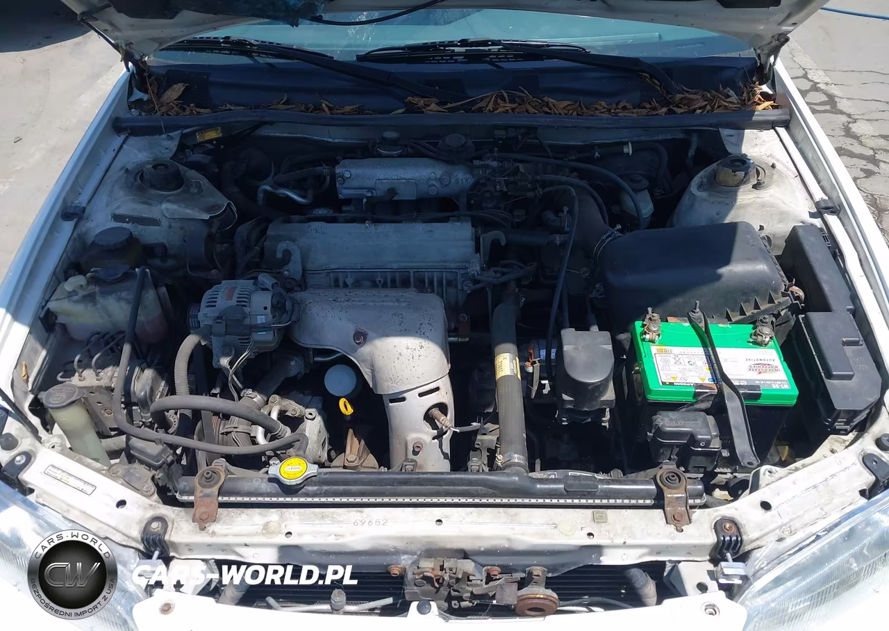 1999 Toyota Camry Le VIN:4T1BG22K6XU886709 - 10