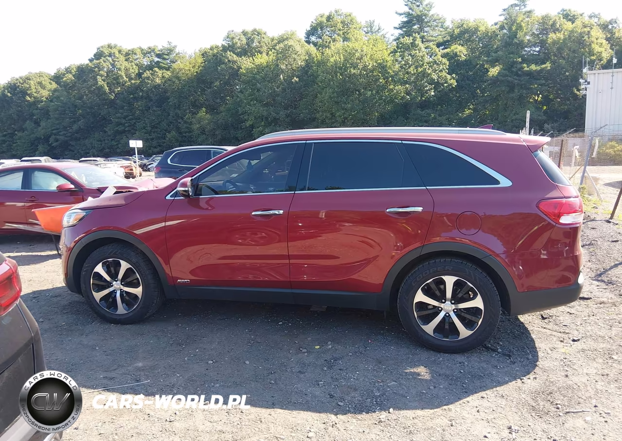 2016 Kia Sorento 2.0T Ex VIN:5XYPHDA1XGG029760 - 14