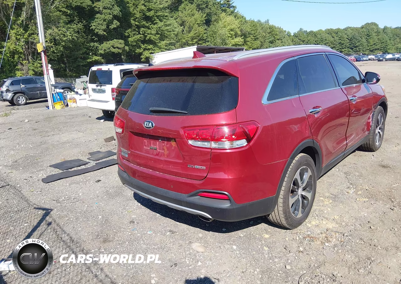 2016 Kia Sorento 2.0T Ex VIN:5XYPHDA1XGG029760 - 4