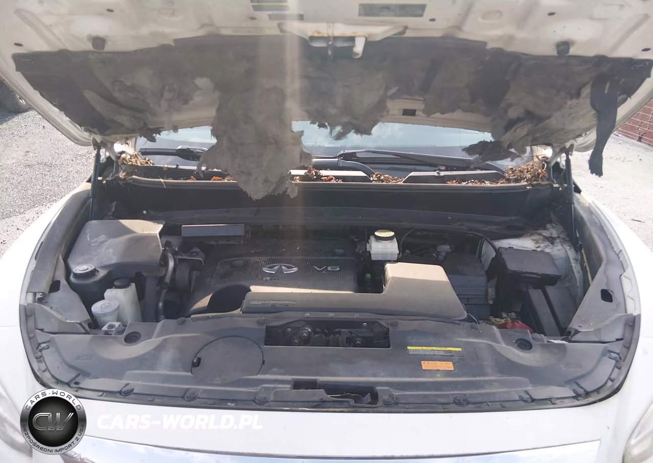 2013 Infiniti Jx35 VIN:5N1AL0MM6DC307052 - 10