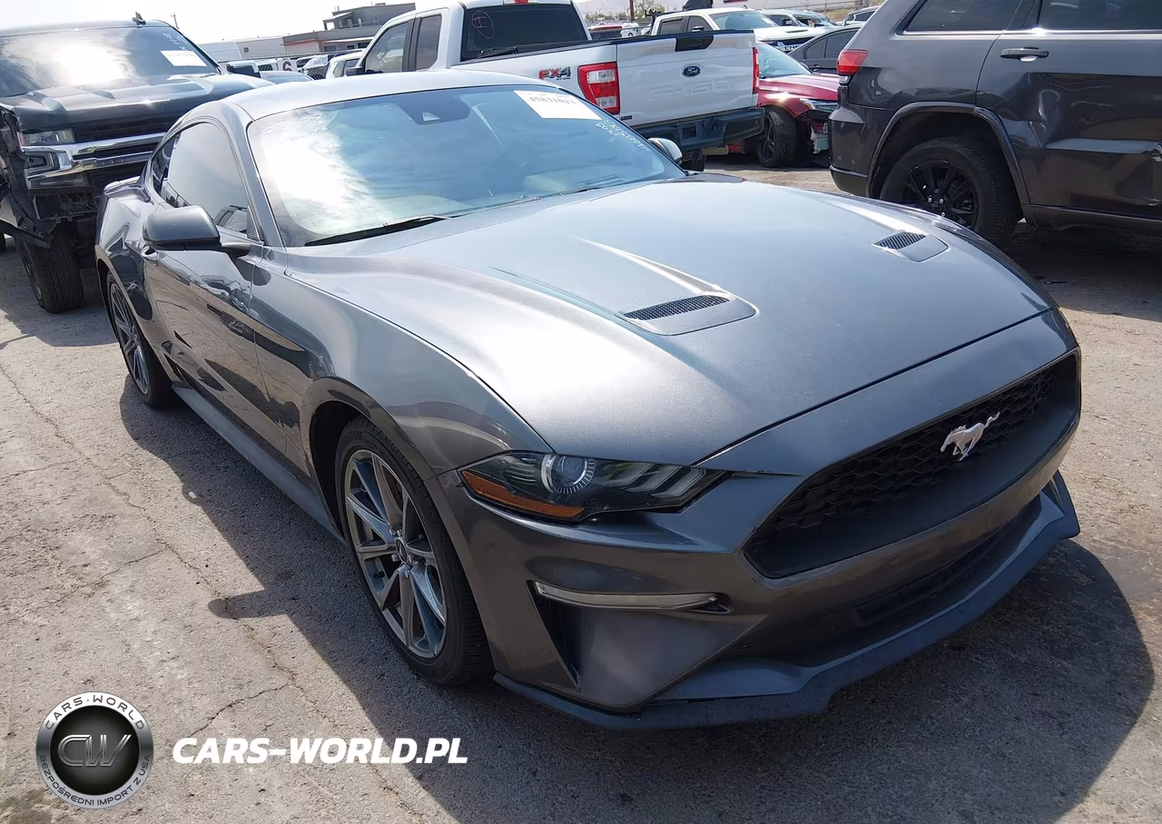 2019 Ford Mustang Ecoboost
