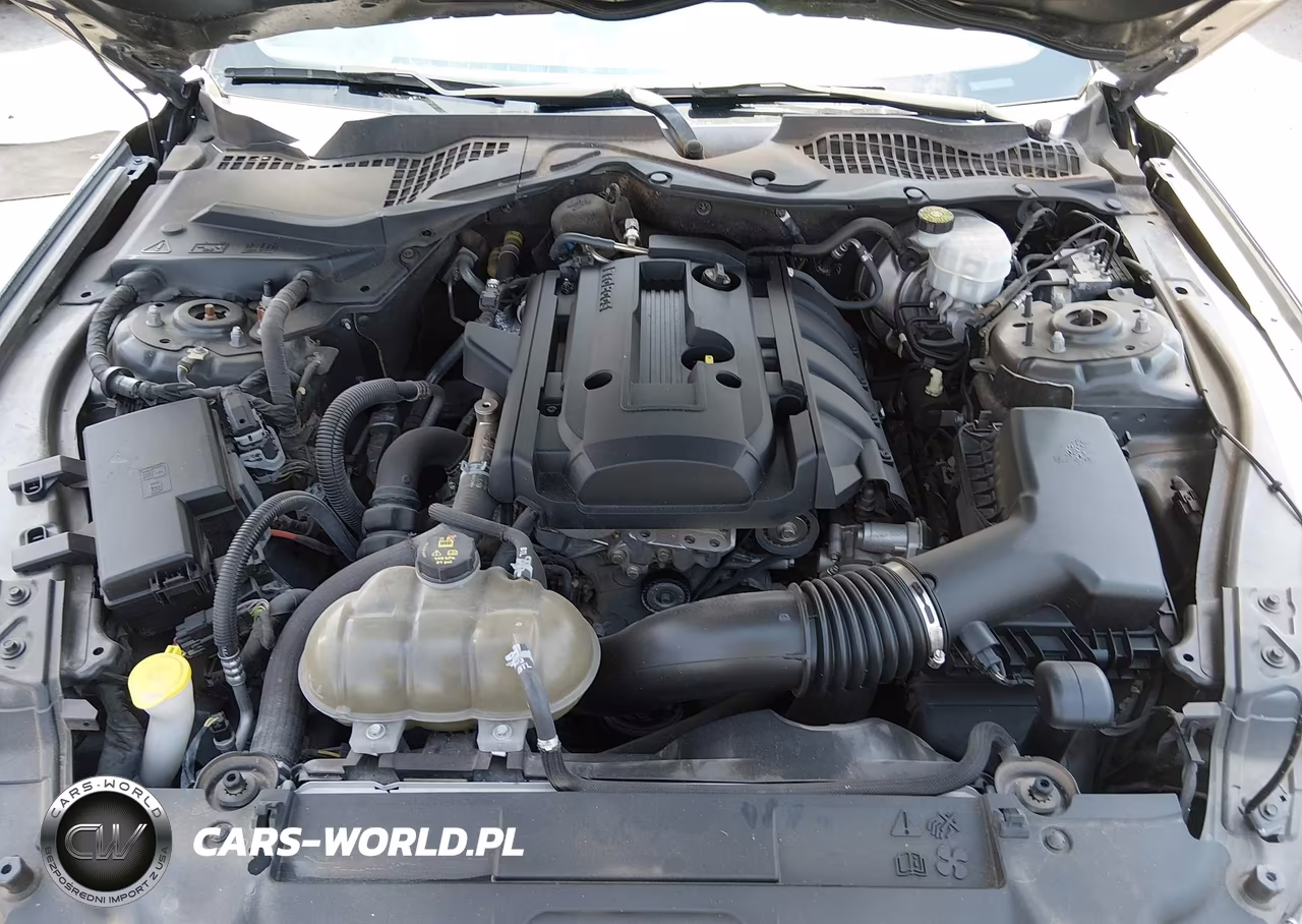 2019 Ford Mustang Ecoboost VIN:1FA6P8TH6K5134805 - 10