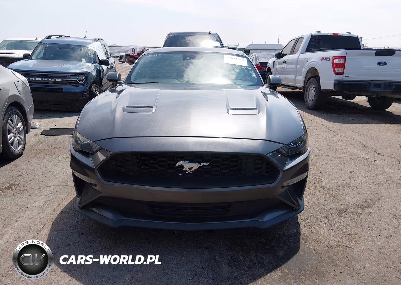 2019 Ford Mustang Ecoboost VIN:1FA6P8TH6K5134805 - 12