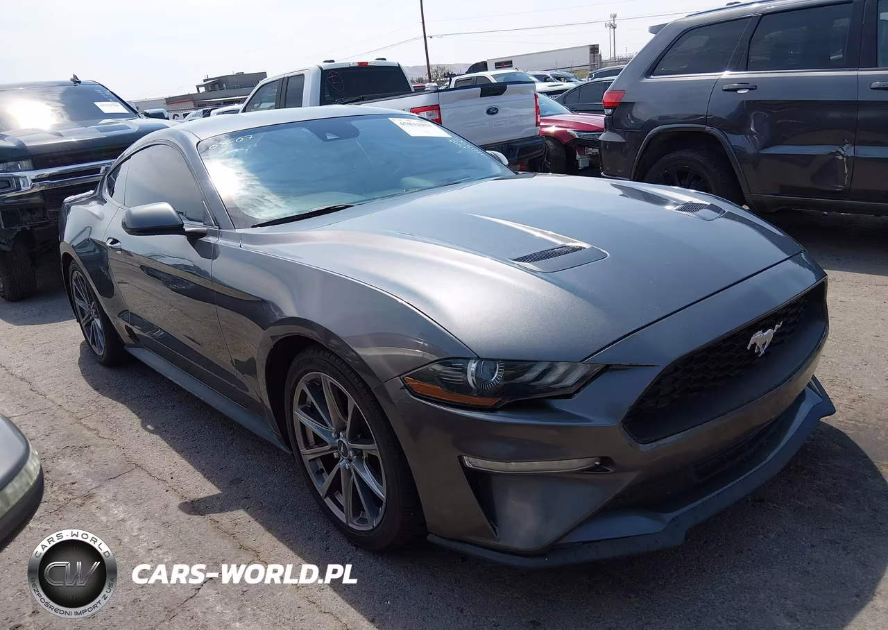 2019 Ford Mustang Ecoboost VIN:1FA6P8TH6K5134805 - 13