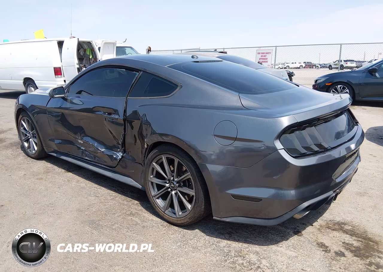 2019 Ford Mustang Ecoboost VIN:1FA6P8TH6K5134805 - 14