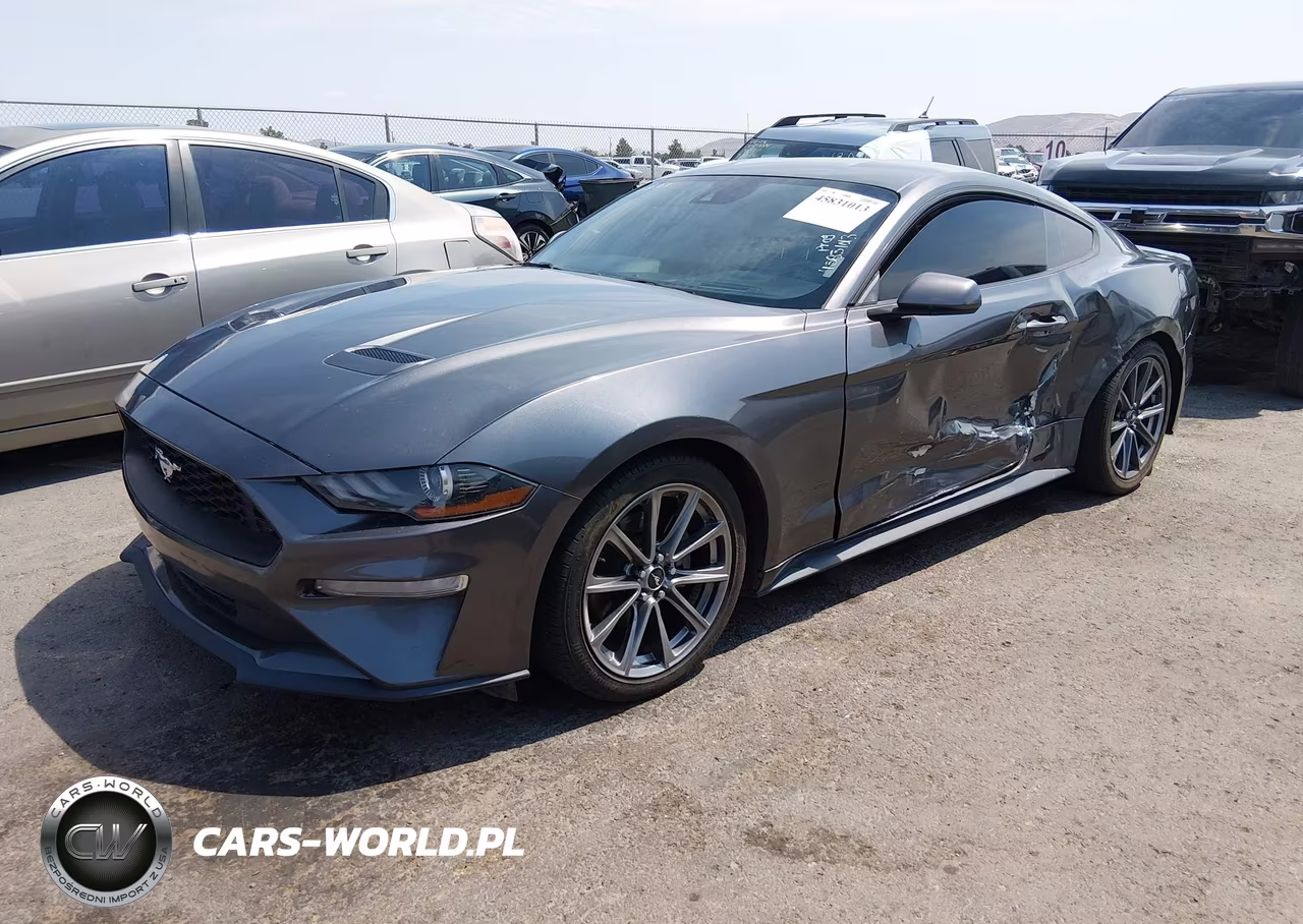 2019 Ford Mustang Ecoboost VIN:1FA6P8TH6K5134805 - 2
