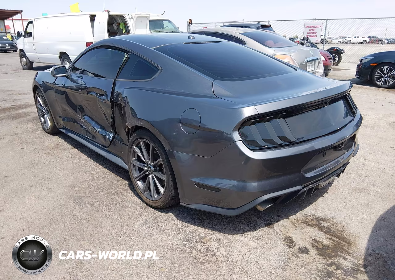 2019 Ford Mustang Ecoboost VIN:1FA6P8TH6K5134805 - 3