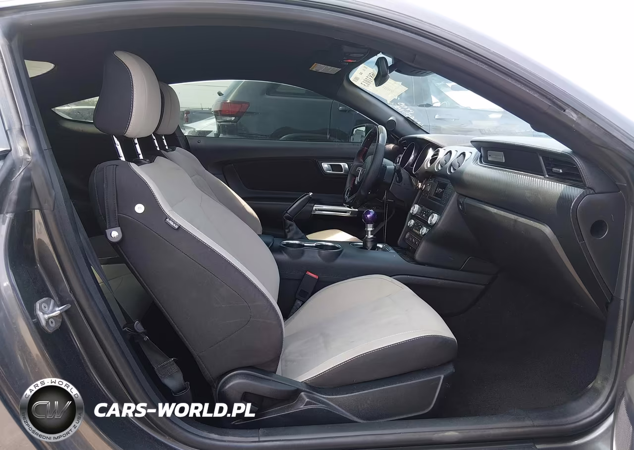 2019 Ford Mustang Ecoboost VIN:1FA6P8TH6K5134805 - 5