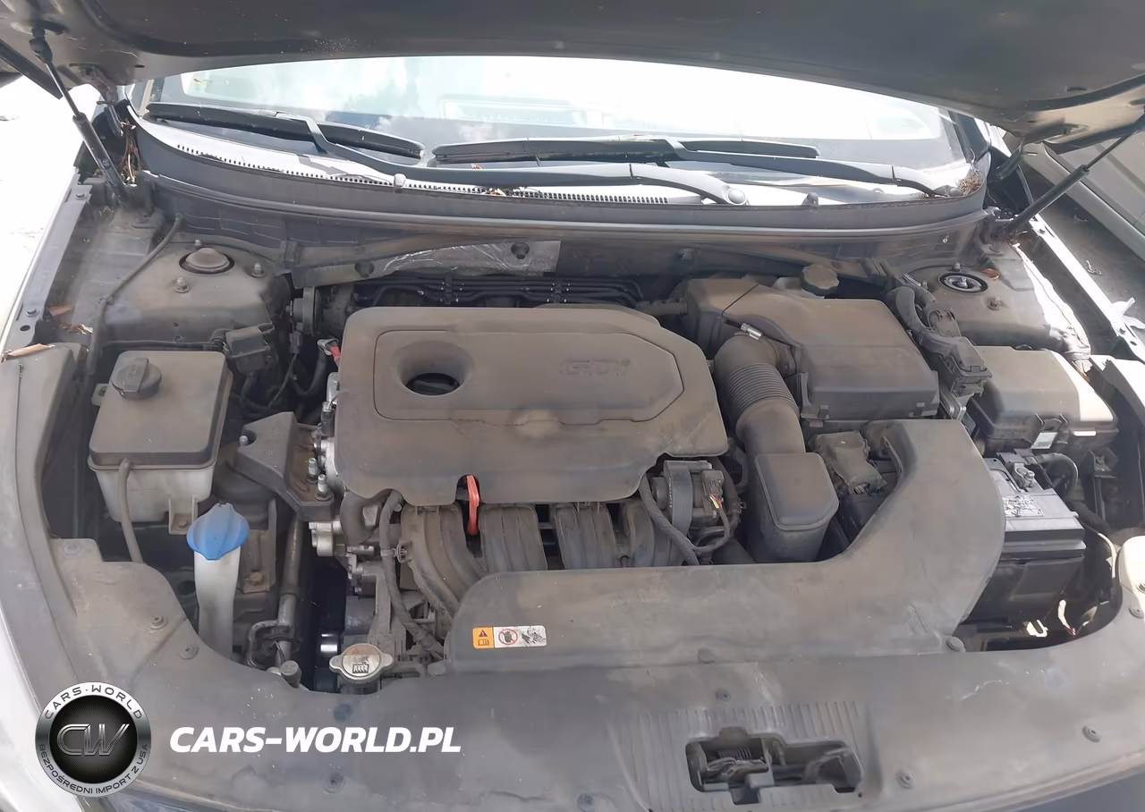 2015 Hyundai Sonata Se VIN:5NPE24AF9FH145513 - 10