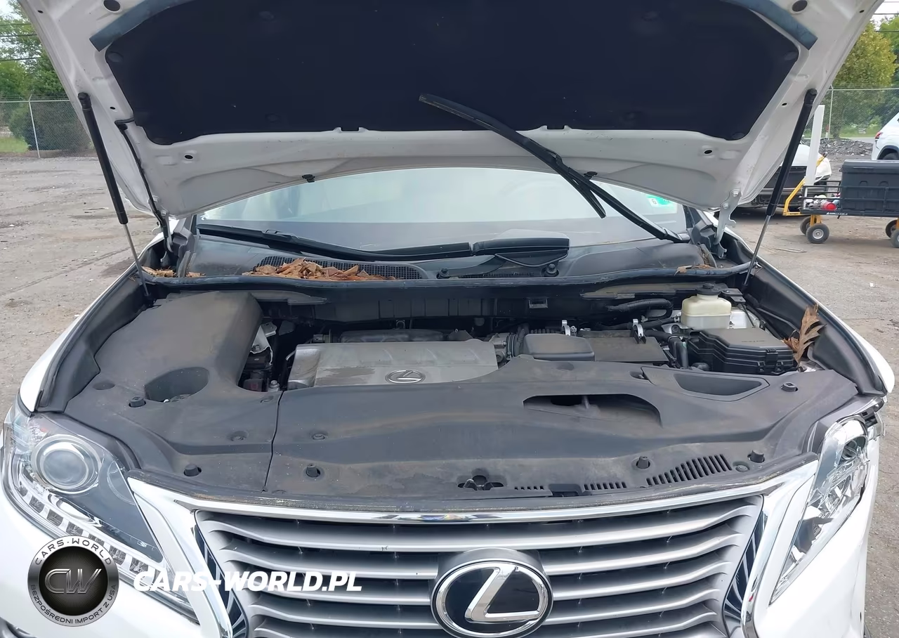 2015 Lexus Rx 350 VIN:2T2BK1BA4FC313142 - 10