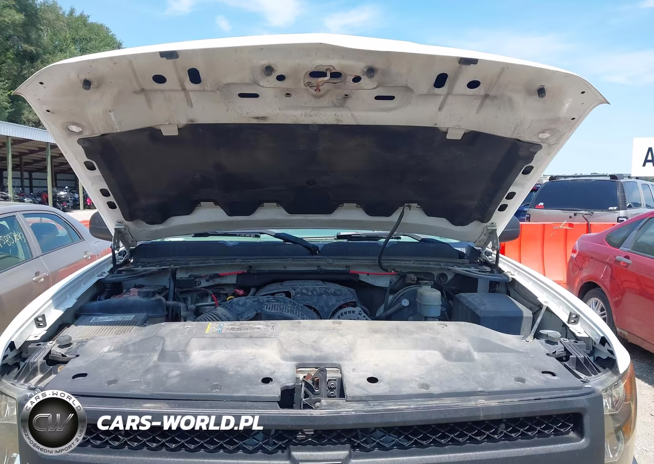 2008 Chevrolet Silverado 1500 Work Truck VIN:1GCEC14C08Z256847 - 10