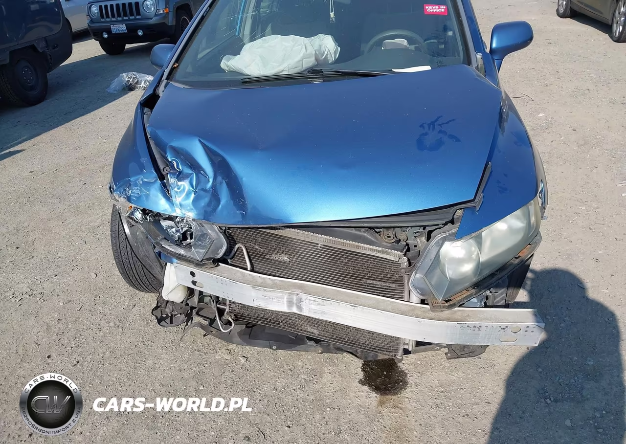 2009 Honda Civic Lx VIN:19XFA16549E042952 - 13