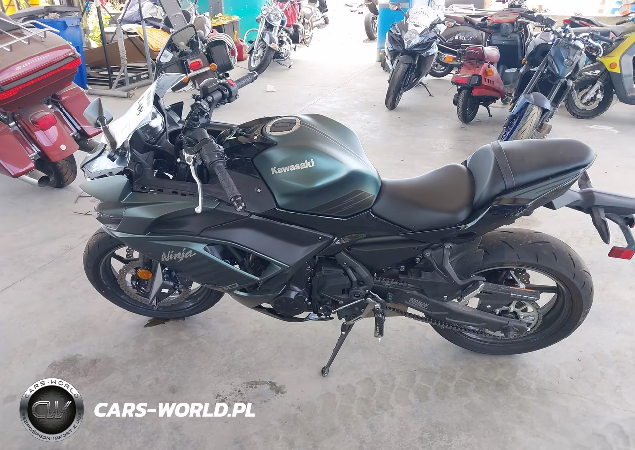2025 Kawasaki Ex650 P VIN:ML5EXEP1XSDAG4807 - 13