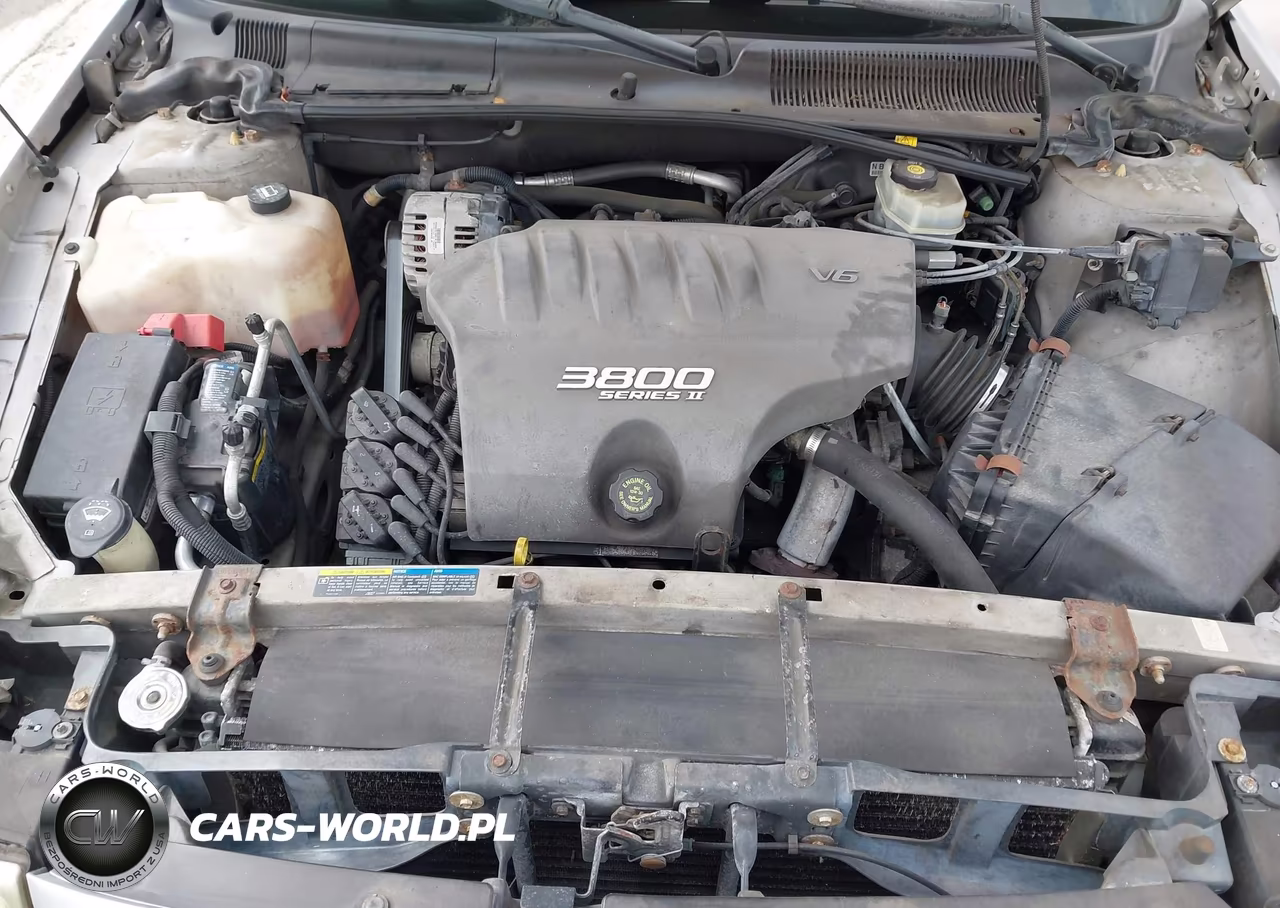 2002 Buick Lesabre Custom VIN:1G4HP54KX24212662 - 10