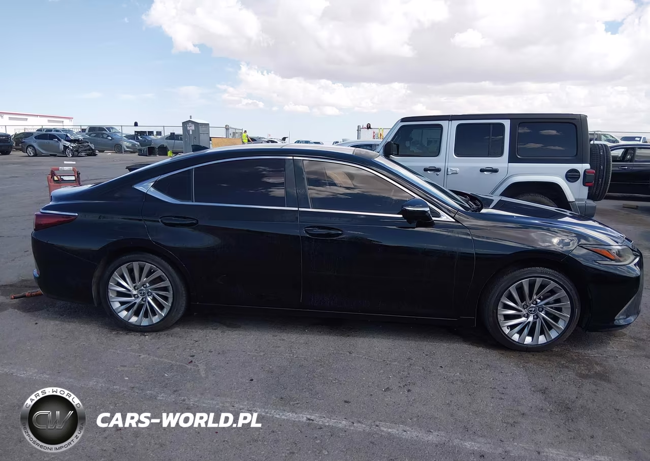 2019 Lexus Es 350 Ultra Luxury VIN:58ABZ1B13KU034945 - 13