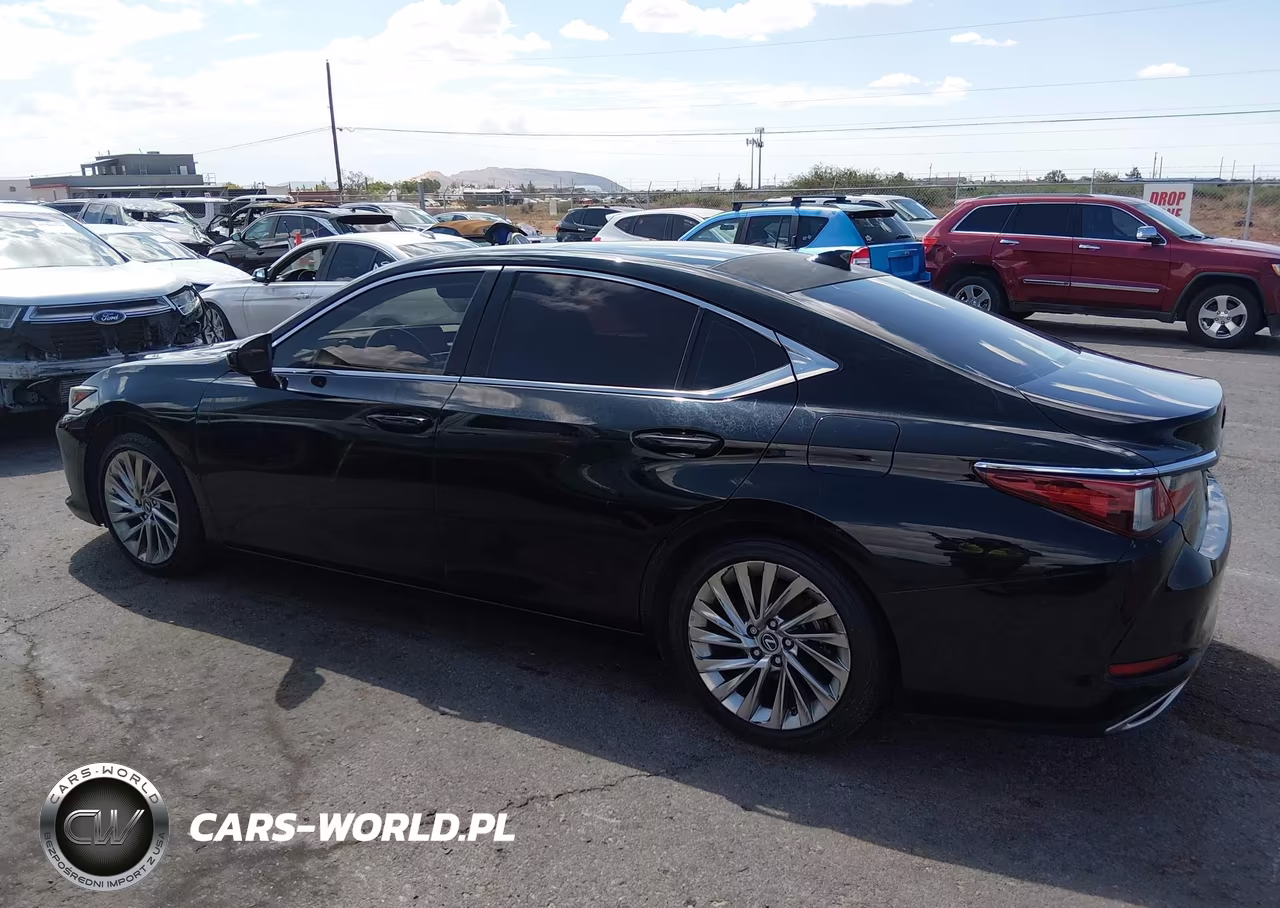 2019 Lexus Es 350 Ultra Luxury VIN:58ABZ1B13KU034945 - 14