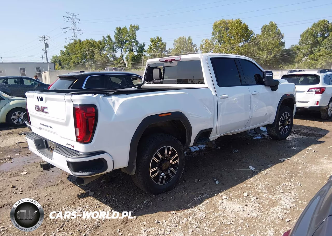 2020 GMC Sierra 2500Hd 4Wd Standard Bed At4 VIN:1GT49PEY3LF120343 - 4