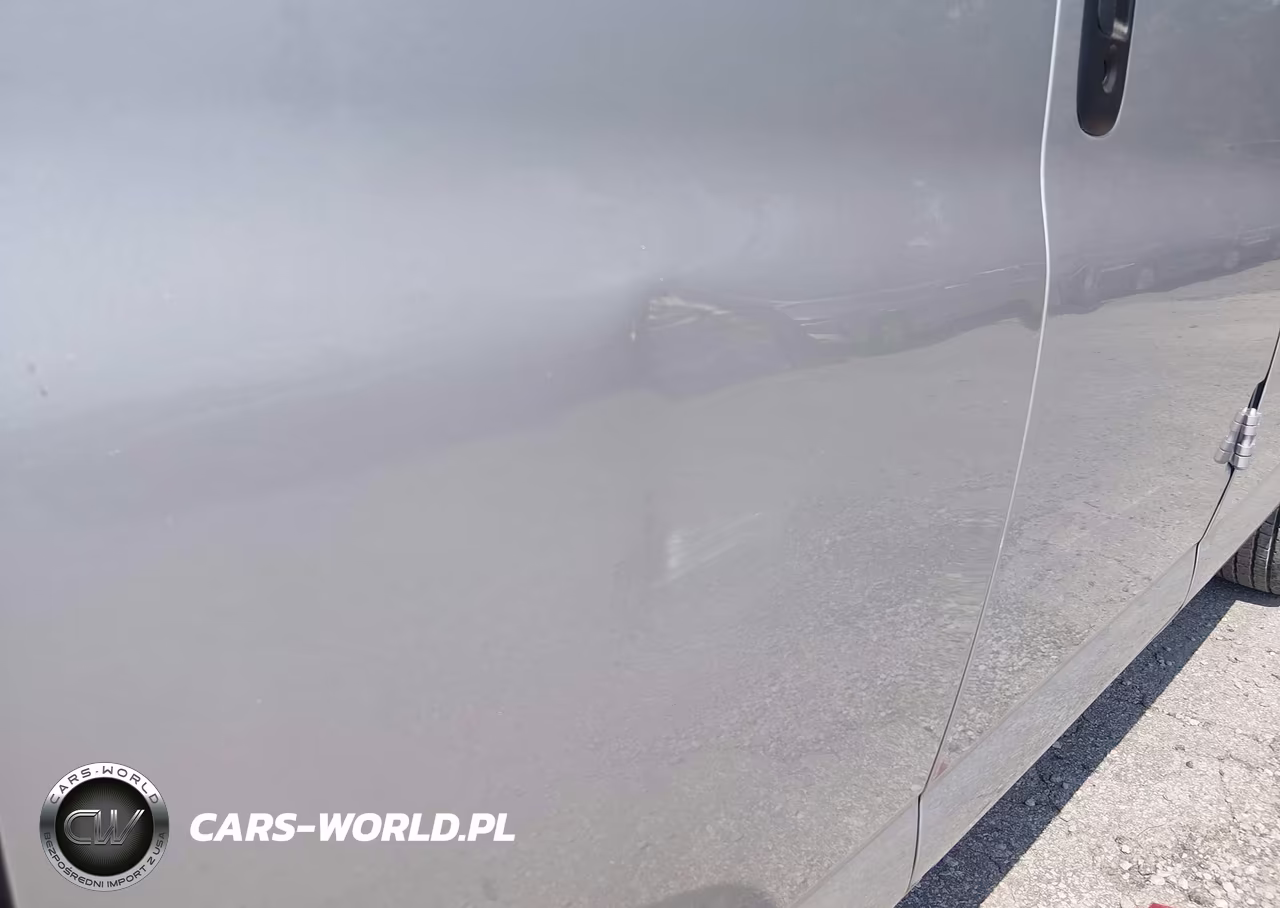 2020 Chevrolet Express Passenger Rwd 3500 Extended Wheelbase Ls VIN:1GAZGNFP4L1256332 - 13