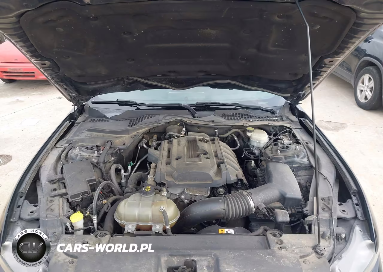 2016 Ford Mustang Ecoboost VIN:1FA6P8TH1G5205058 - 10