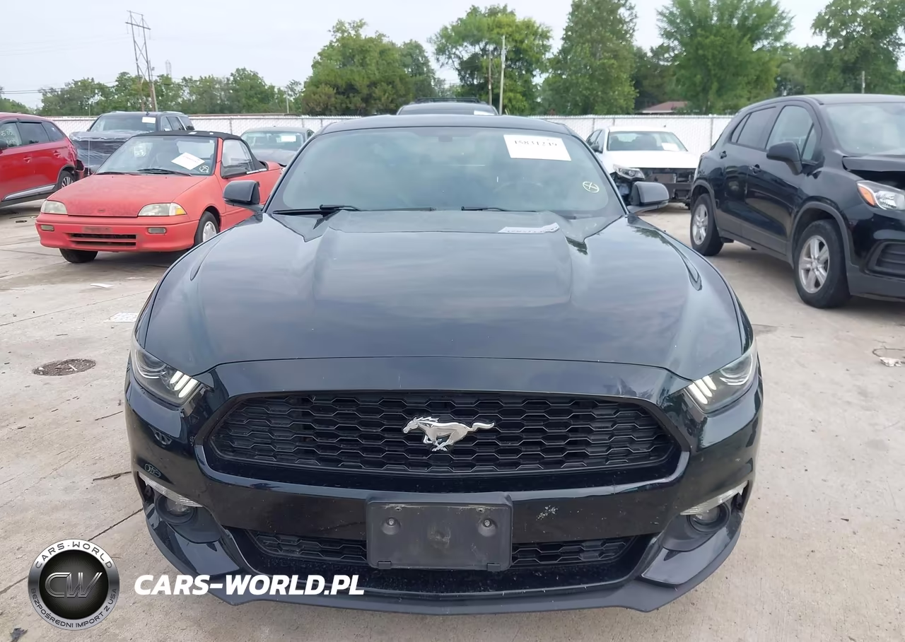 2016 Ford Mustang Ecoboost VIN:1FA6P8TH1G5205058 - 12