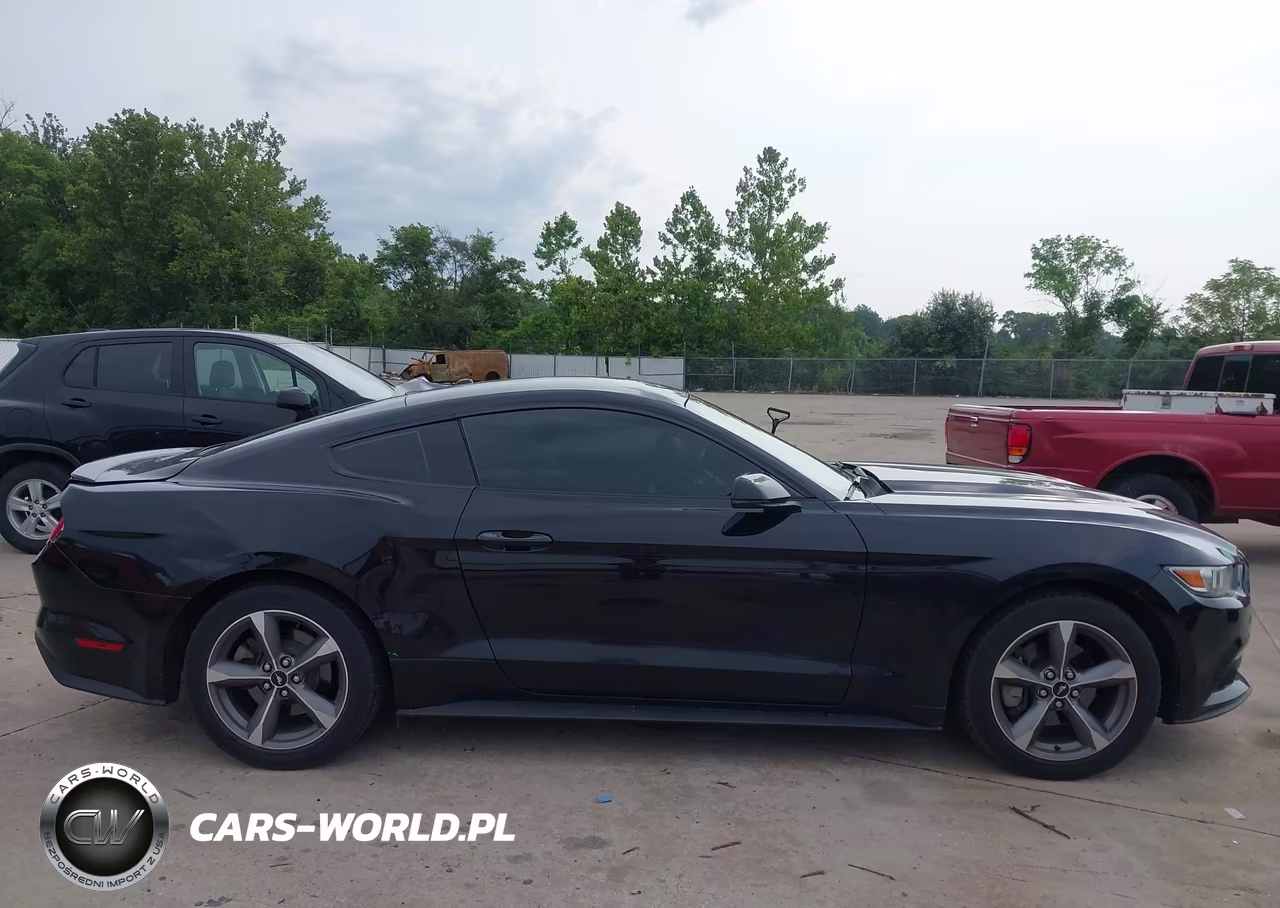 2016 Ford Mustang Ecoboost VIN:1FA6P8TH1G5205058 - 13