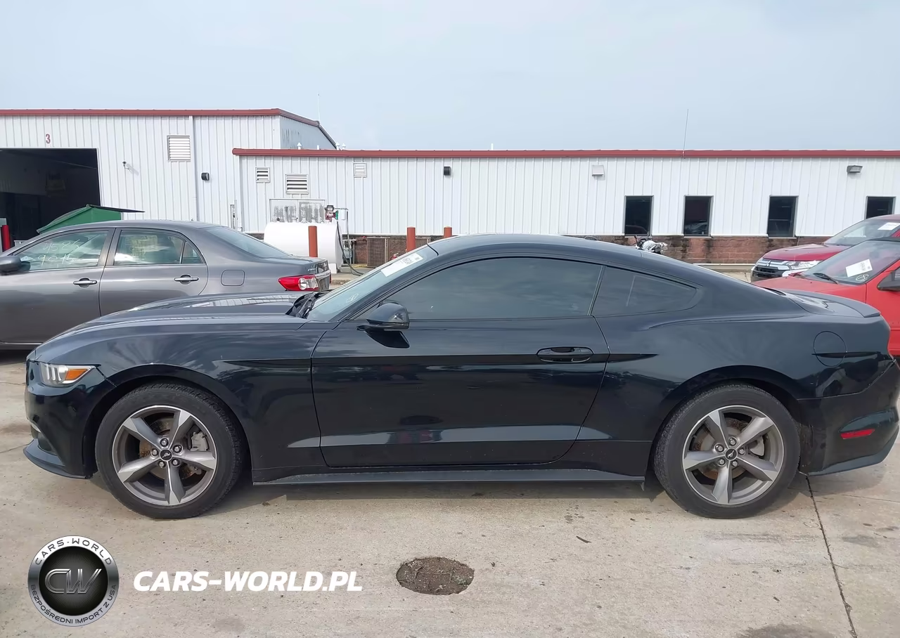 2016 Ford Mustang Ecoboost VIN:1FA6P8TH1G5205058 - 14