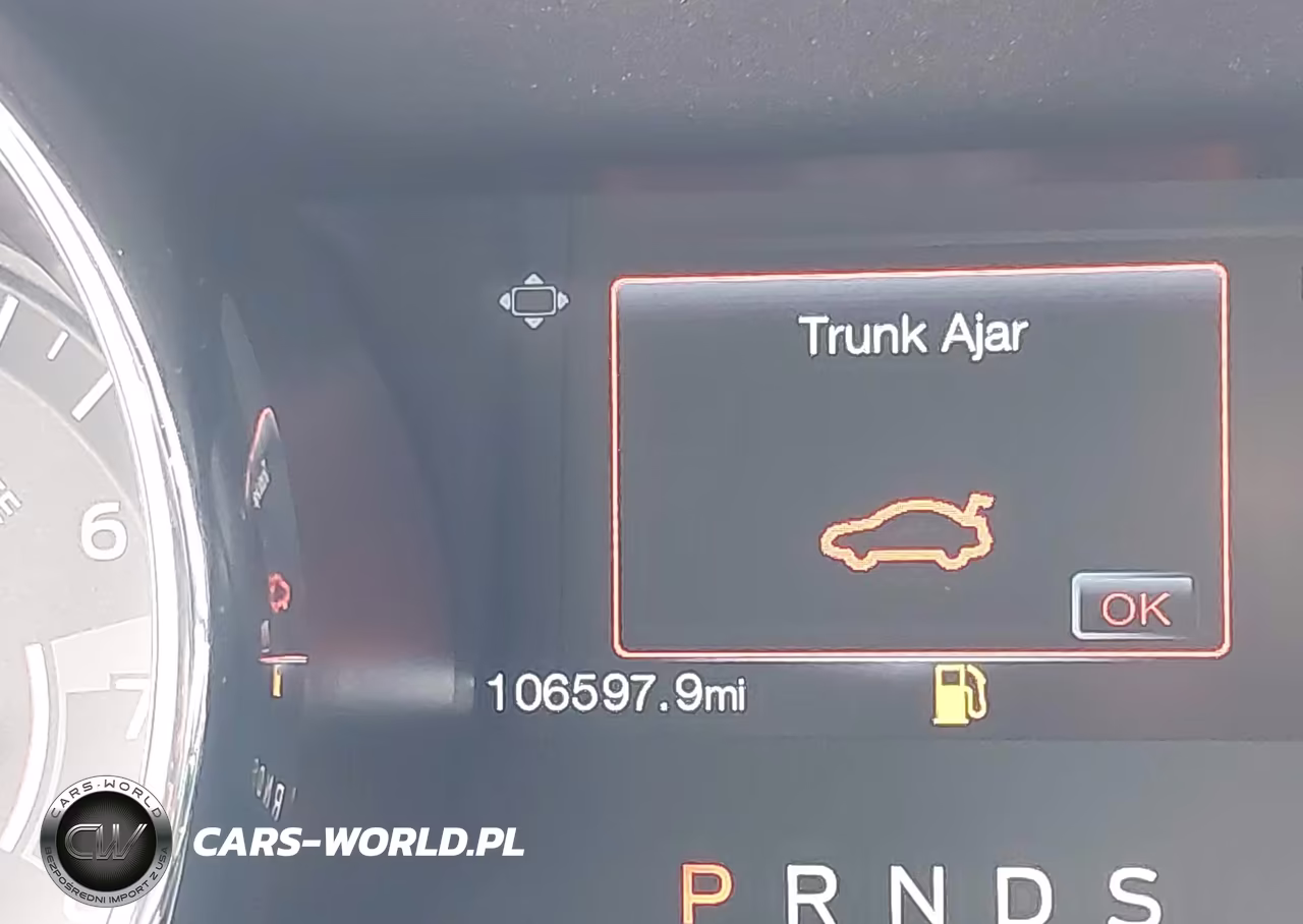 2016 Ford Mustang Ecoboost VIN:1FA6P8TH1G5205058 - 15