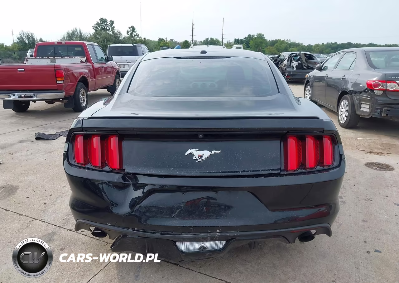2016 Ford Mustang Ecoboost VIN:1FA6P8TH1G5205058 - 16