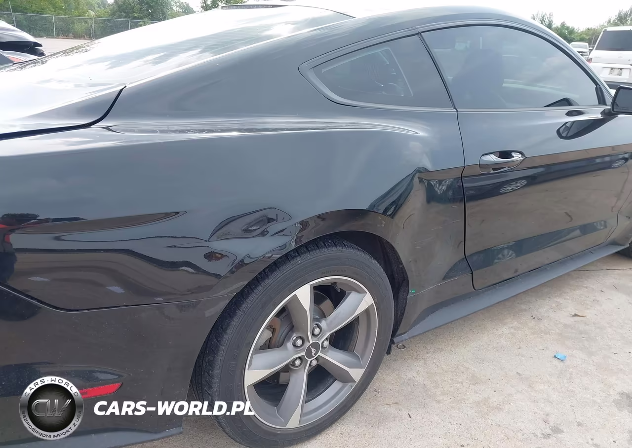 2016 Ford Mustang Ecoboost VIN:1FA6P8TH1G5205058 - 17