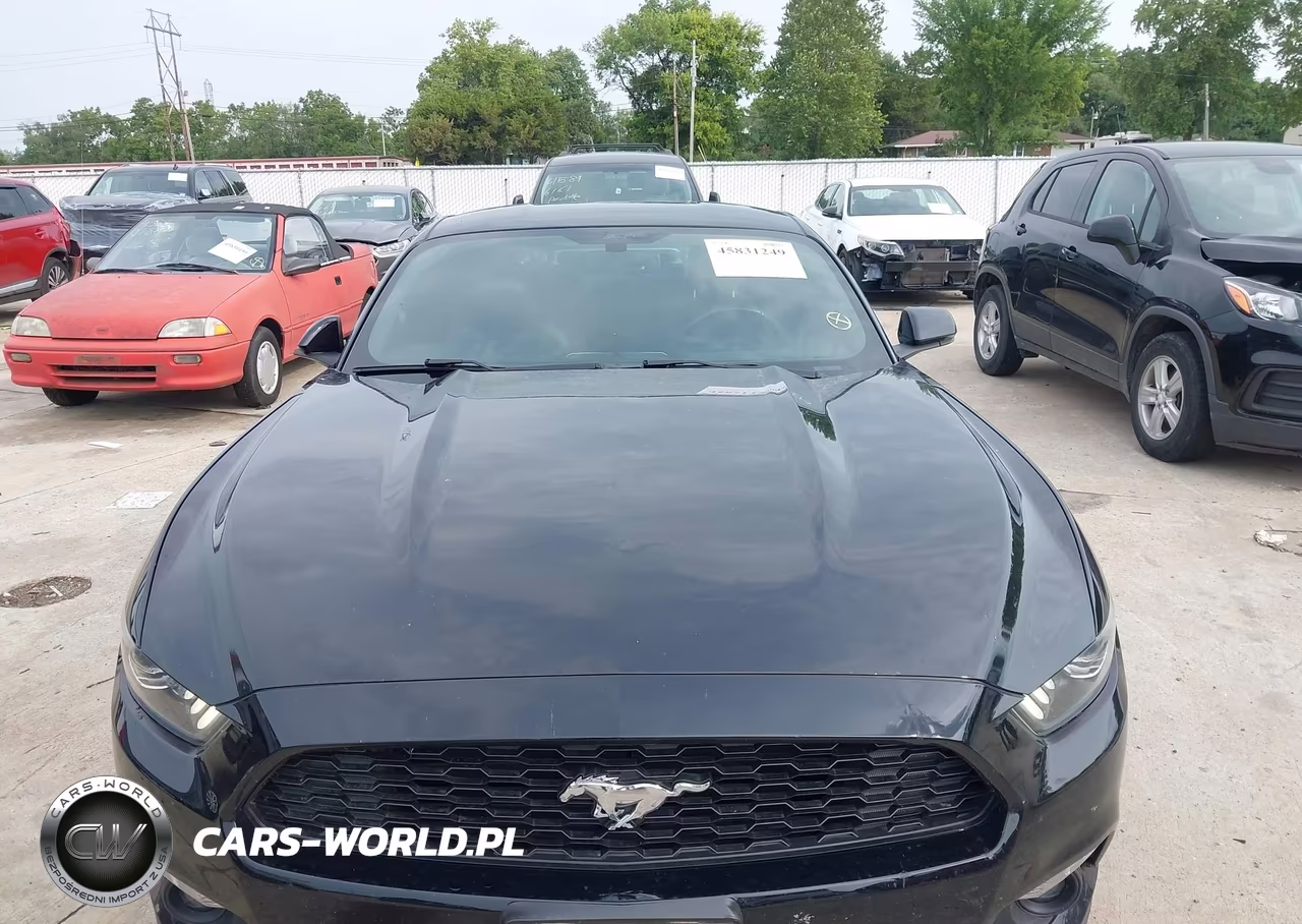 2016 Ford Mustang Ecoboost VIN:1FA6P8TH1G5205058 - 18