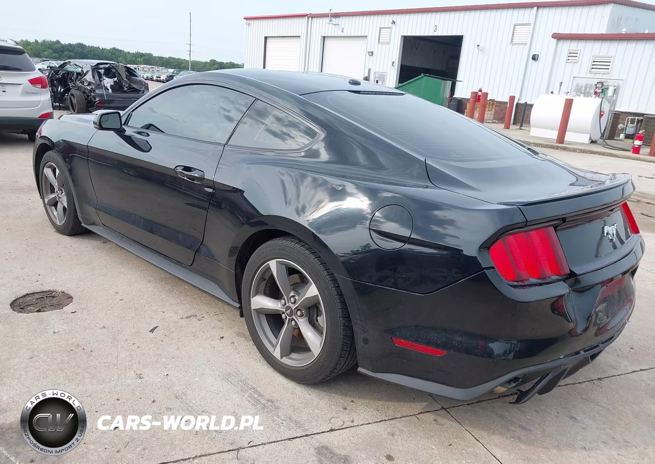 2016 Ford Mustang Ecoboost VIN:1FA6P8TH1G5205058 - 3