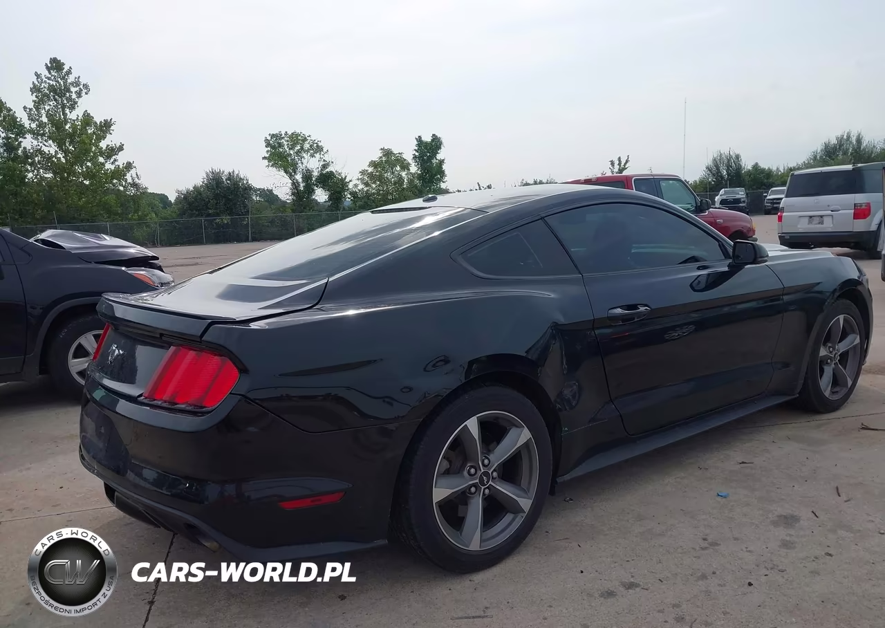 2016 Ford Mustang Ecoboost VIN:1FA6P8TH1G5205058 - 4
