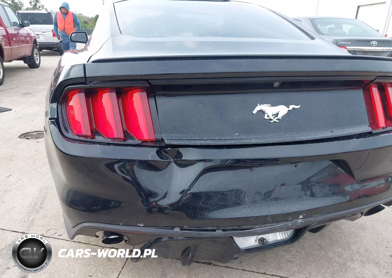 2016 Ford Mustang Ecoboost VIN:1FA6P8TH1G5205058 - 6