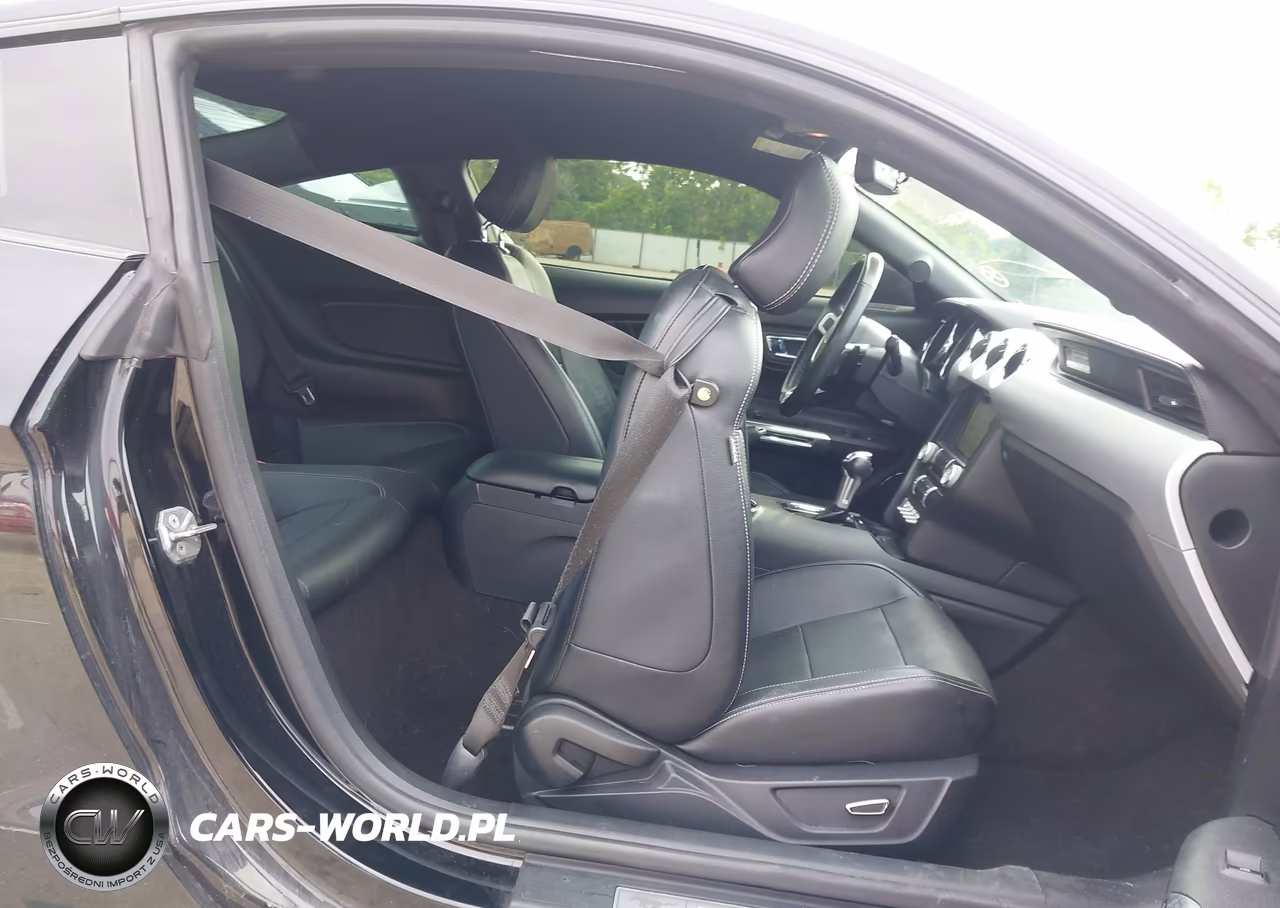 2016 Ford Mustang Ecoboost VIN:1FA6P8TH1G5205058 - 8