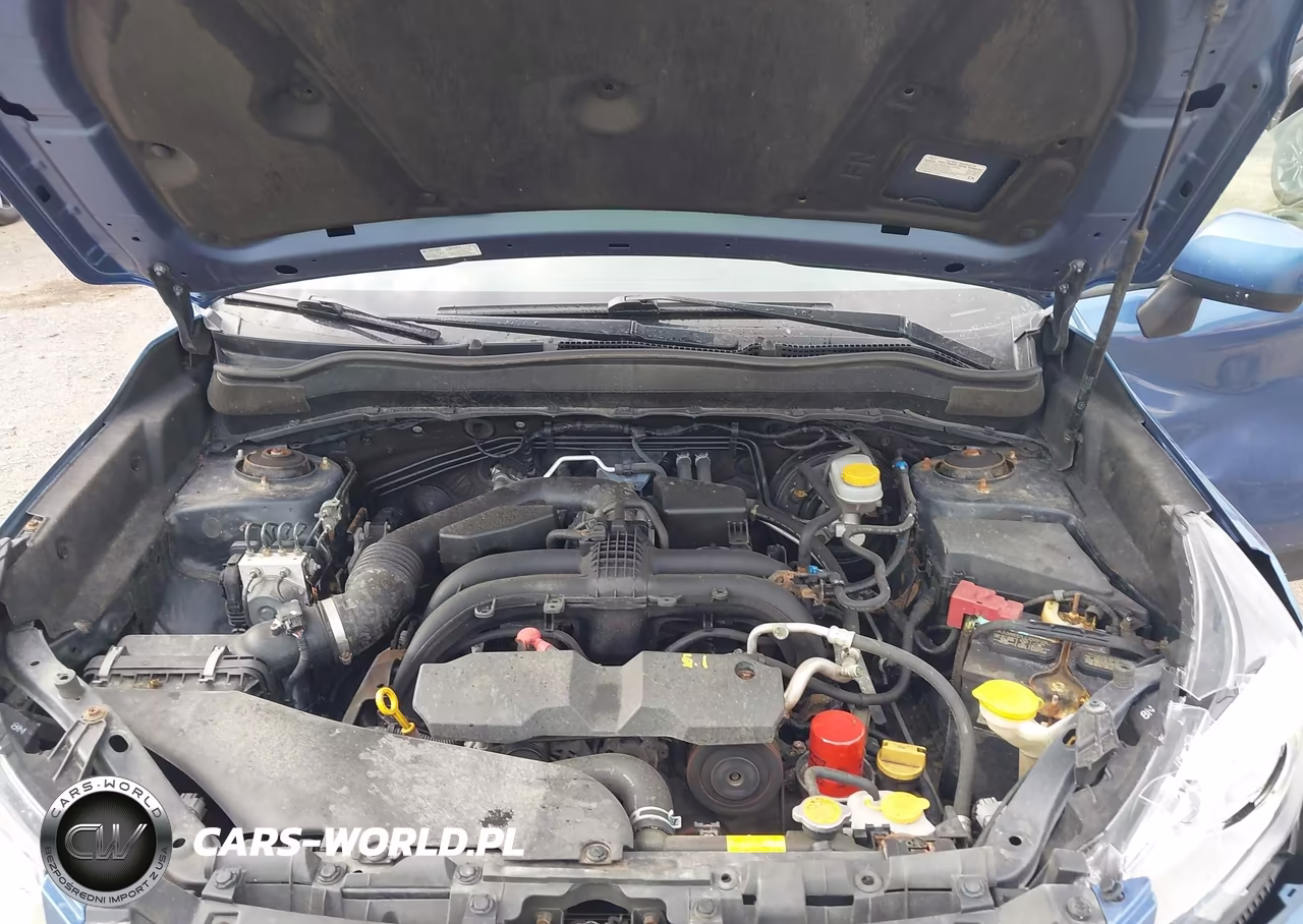 2017 Subaru Forester 2.5I Premium VIN:JF2SJAEC7HH407486 - 10
