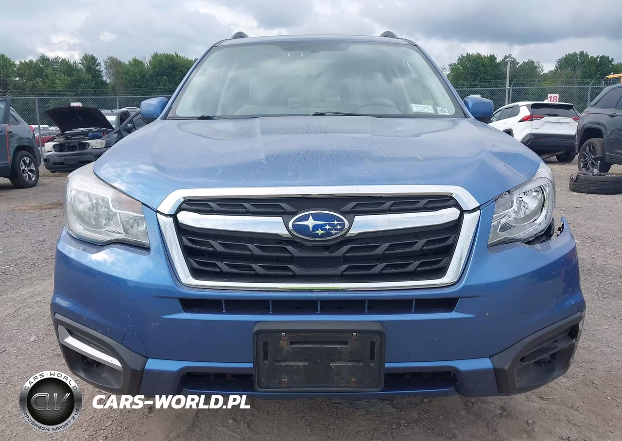 2017 Subaru Forester 2.5I Premium VIN:JF2SJAEC7HH407486 - 12