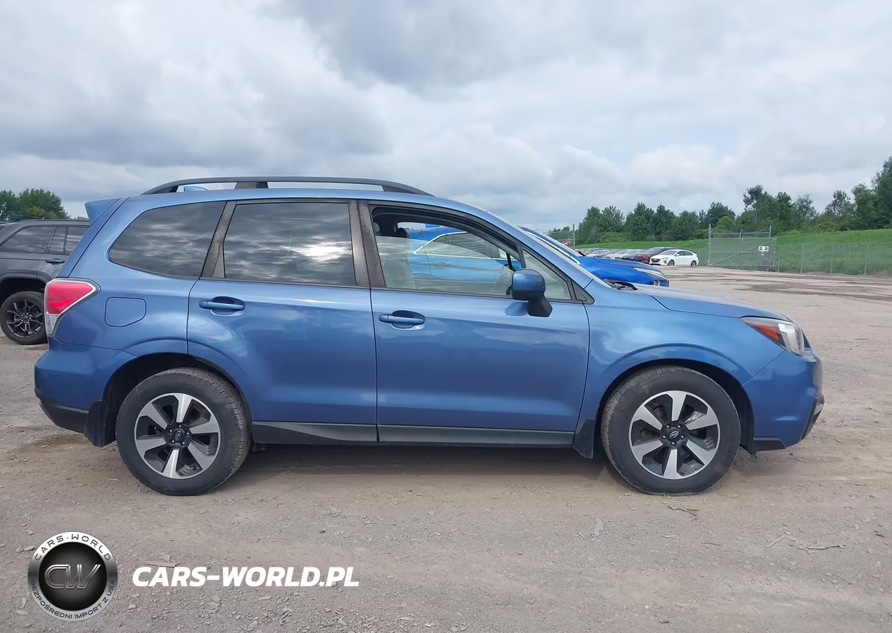2017 Subaru Forester 2.5I Premium VIN:JF2SJAEC7HH407486 - 13