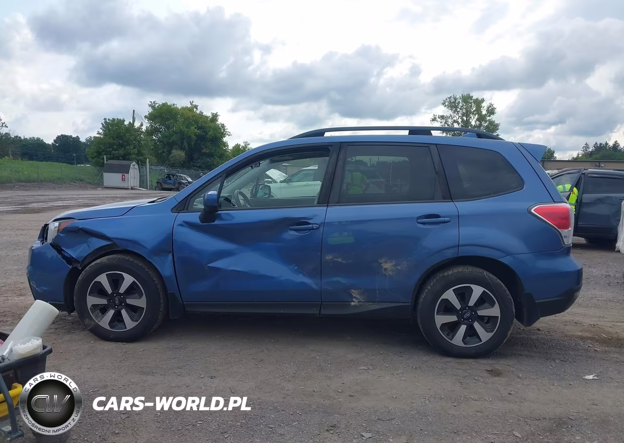 2017 Subaru Forester 2.5I Premium VIN:JF2SJAEC7HH407486 - 14