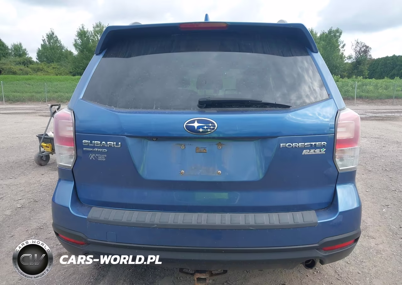 2017 Subaru Forester 2.5I Premium VIN:JF2SJAEC7HH407486 - 16