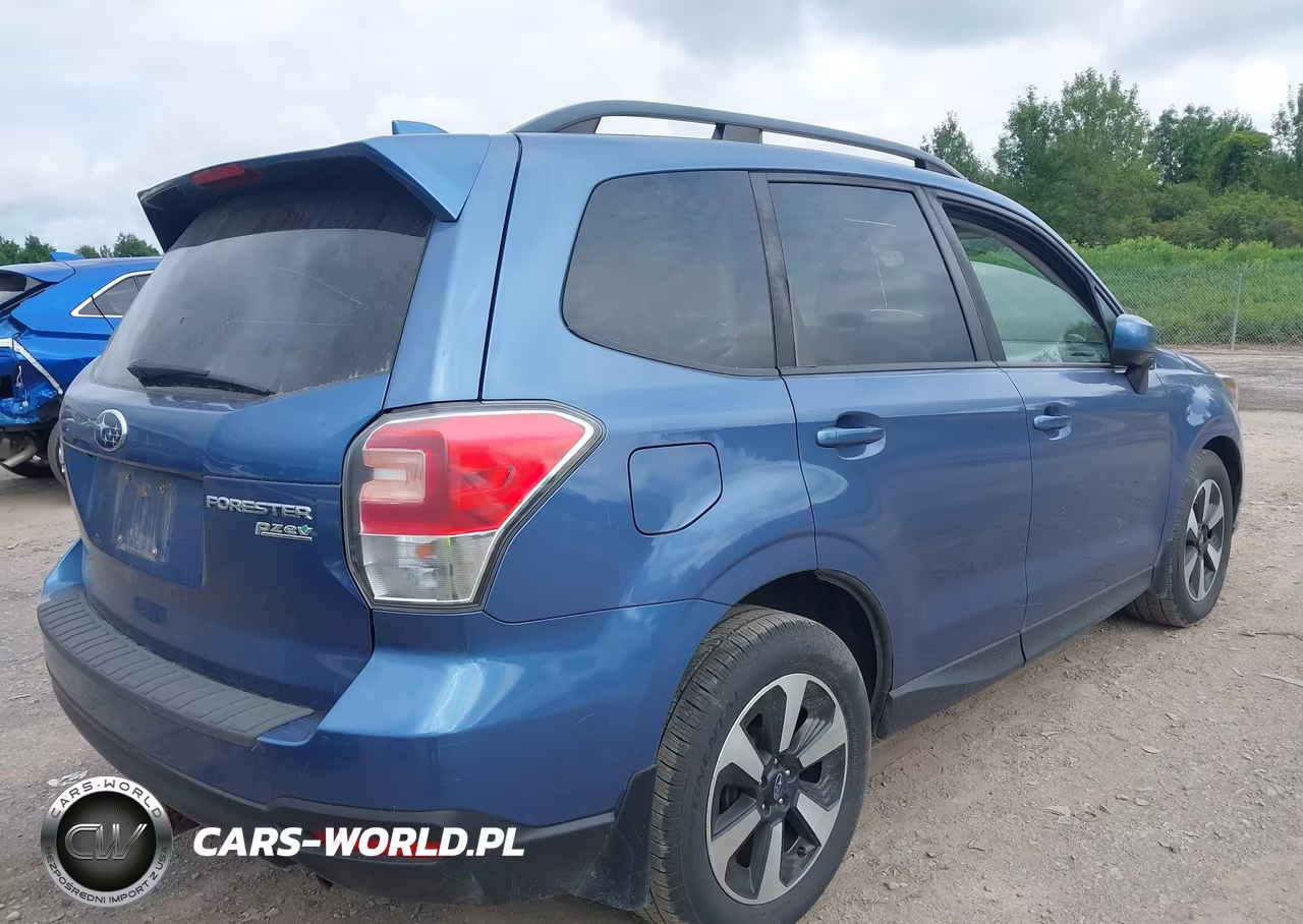 2017 Subaru Forester 2.5I Premium VIN:JF2SJAEC7HH407486 - 4