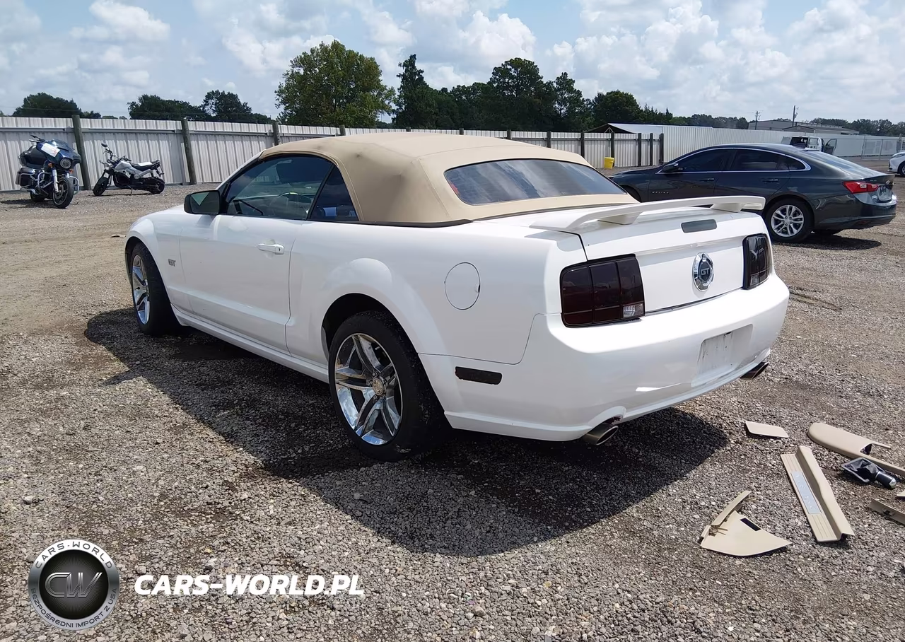 2005 Ford Mustang Gt VIN:1ZVHT85H455203567 - 3