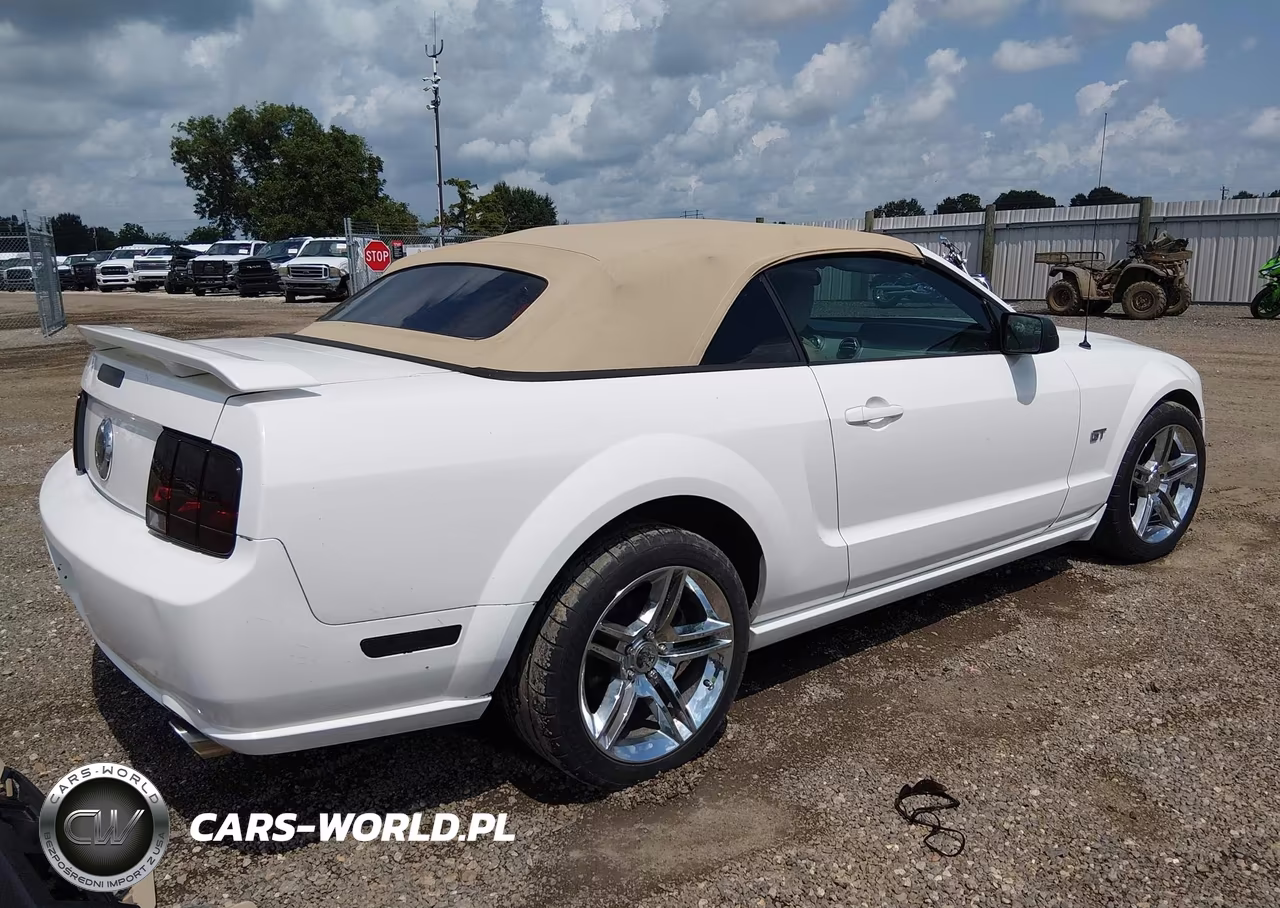 2005 Ford Mustang Gt VIN:1ZVHT85H455203567 - 4