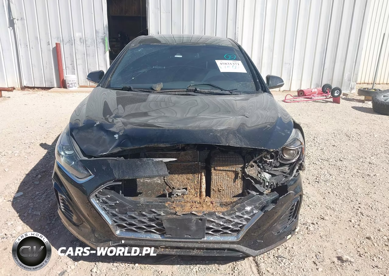 2019 Hyundai Sonata Limited 2.0T VIN:5NPE34AB7KH800451 - 12